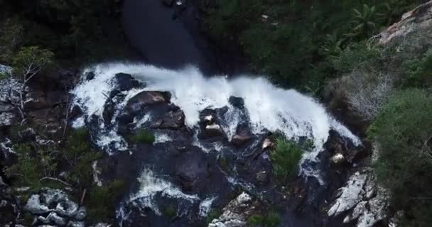 Purlingbrook Falls en el Parque Nacional de Springbrook . — Vídeos de Stock