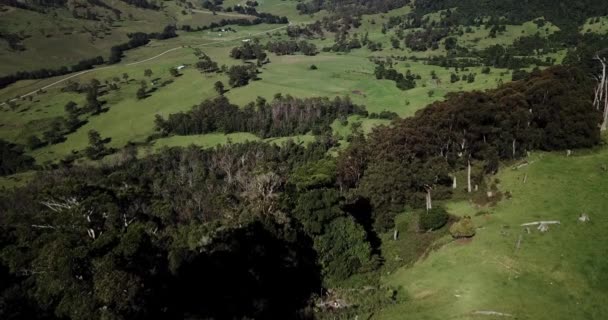 Ariel Άποψη Του Carrs Επιφυλακή Στο Queensland Αυστραλία Κατά Διάρκεια — Αρχείο Βίντεο