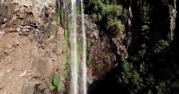 Queen Mary Falls Βρίσκεται Στην Περιοχή Αγάπη Κατεβάζει Queensland Αυστραλία — Αρχείο Βίντεο