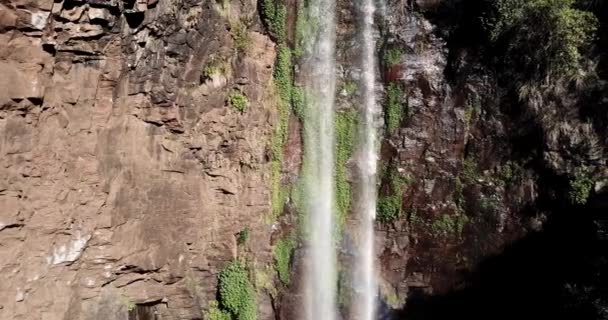 Queen Mary Falls Ligger Regionen Darling Downs Queensland Australien — Stockvideo