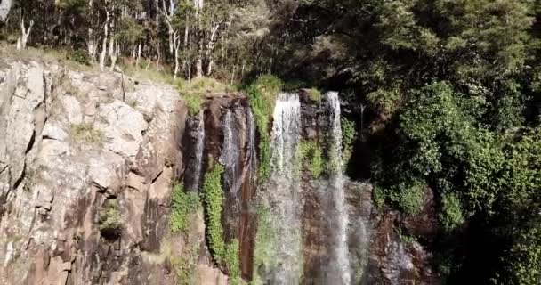 Queen Mary Falls Befindet Sich Der Darling Downs Region Von — Stockvideo