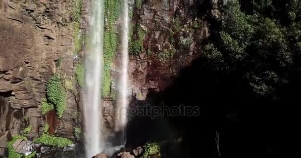 Queen Mary Falls Ligger Regionen Darling Downs Queensland Australien — Stockvideo