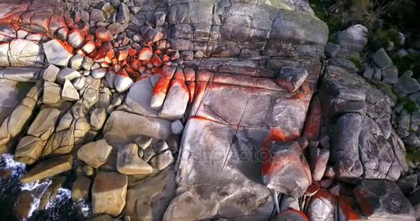 Bay Ateş Binalong Bay Tasmania Içinde — Stok video