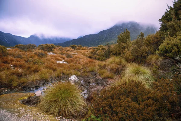 Колиска-гора в Тасманії на Похмурий день. — стокове фото