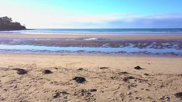 Playa Los Verdes Desde Arriba Situado Cerca Launceston Tasmania — Vídeos de Stock