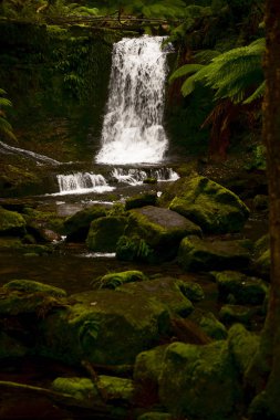 Horseshoe Falls Mount alan Milli Parkı'nda.