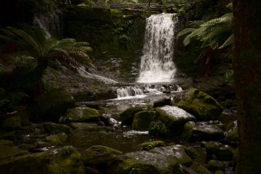 Horseshoe Falls Mount alan Milli Parkı'nda.