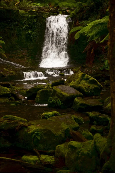 Horseshoe Falls em Mount Field National Park . — Fotografia de Stock