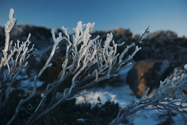 산 웰링턴 호바트, 타 즈 마니아는 하루 동안에 위에. — 스톡 사진