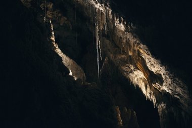 Mayberry, köstebek Creek, Tasmanya mağarada Marakoopa.