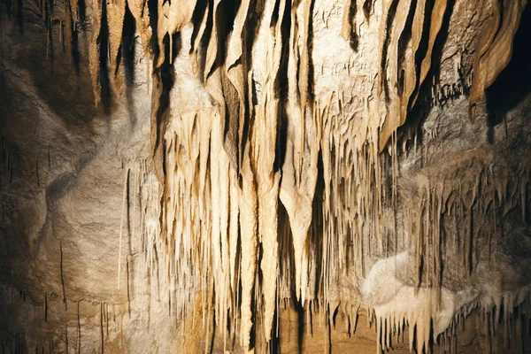 Mayberry, köstebek Creek, Tasmanya mağarada Marakoopa. — Stok fotoğraf