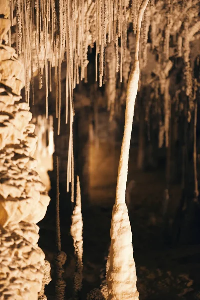 Marakoopa grot in Mayberry, Mole Creek, Tasmanië. — Stockfoto