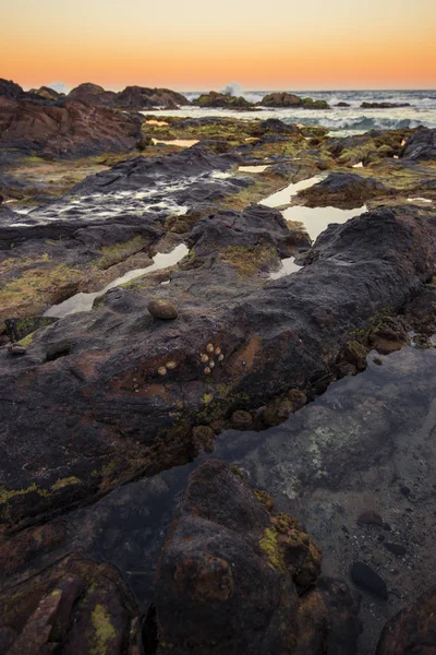 Coolum beach w Sunshine Coast — Zdjęcie stockowe