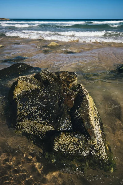 Plage ensoleillée à Noosa, Sunshine Coast — Photo