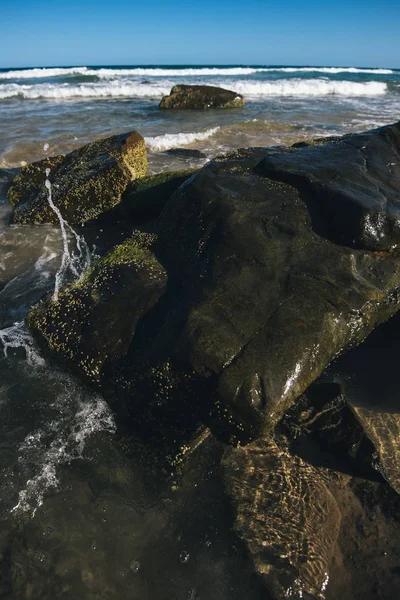 Plage ensoleillée à Noosa, Sunshine Coast — Photo