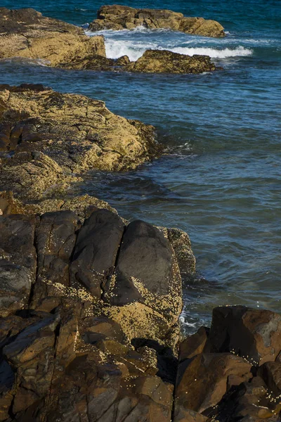 Praia do sol em Noosa, na Sunshine Coast — Fotografia de Stock