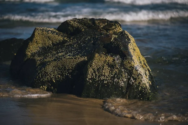 Sunshine beach på Noosa, Sunshine Coast — Stockfoto