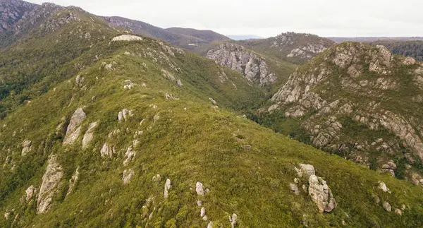 Op de top van Mount Roland in Tasmanië overdag. — Stockfoto