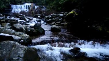 Sonbahar güzel Liffey Falls Midlands bölgesinde, şiddetli yağmur sonra Tazmanya.