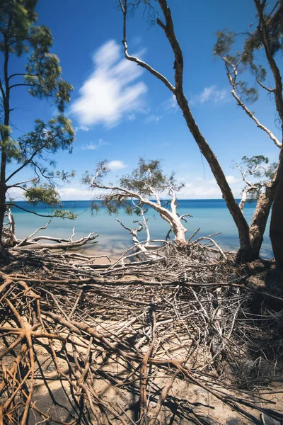 A Amity pont strand-Stradbroke-sziget, Queensland — Stock Fotó