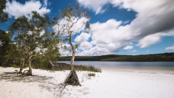 Коричневий озеро на Stradbroke острові, Квінсленд. — стокове фото