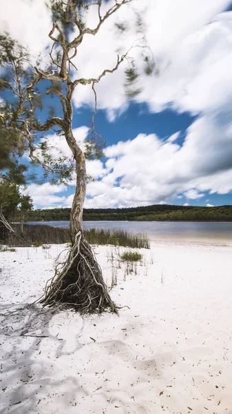 昆士兰斯特德布鲁克岛上的褐湖. — 图库照片