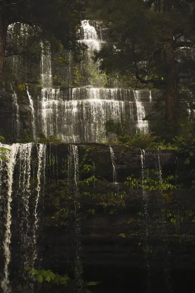 Russell Falls i Mount fältet nationalpark. — Stockfoto