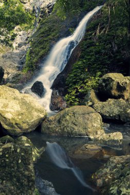 Kondalilla Falls Kondalilla Falls Milli Parkı'nda.