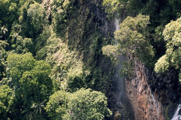 Wasserfall im Mapleton Falls Nationalpark, Glashausberge — Stockfoto