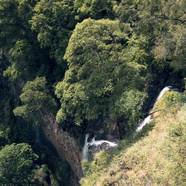 Cascada en el Parque Nacional Mapleton Falls, Montañas Glass House — Foto de Stock