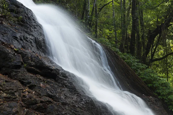 Kondalilla Falls en el Parque Nacional Kondalilla Falls . — Foto de Stock