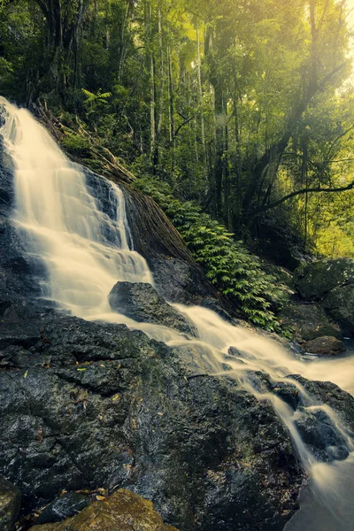 Kondalilla vodopády v národním parku Kondalilla Falls. — Stock fotografie