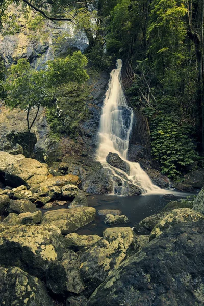 Kondalilla водоспаду в національному парку водоспад Kondalilla. — стокове фото