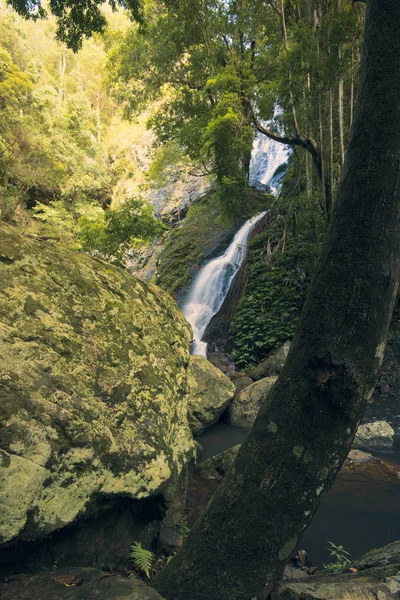 Kondalilla 瀑布 Kondalilla 瀑布国家公园. — 图库照片