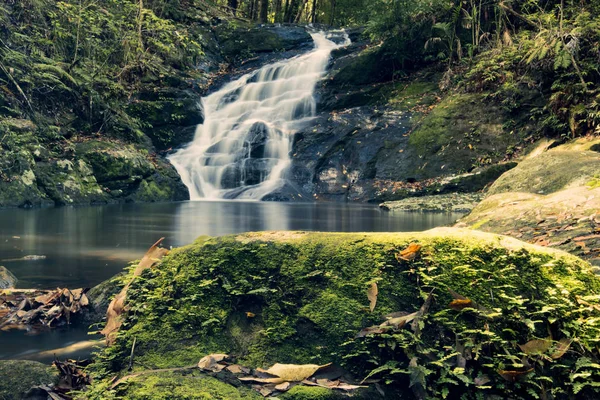 Kondalilla fällt in Kondalilla fällt Nationalpark. — Stockfoto