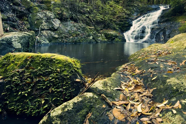 Kondalilla vodopády v národním parku Kondalilla Falls. — Stock fotografie