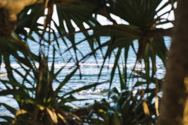 Kings Beach Sunshine Coast Queensland.
