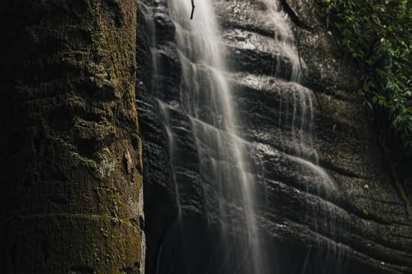 Serenity Falls en Buderim . — Foto de Stock