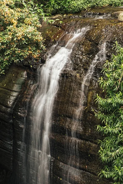 Serenity Falls i Buderim. — Stockfoto