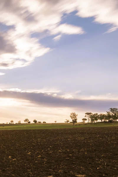 澳大利亚图文巴的农田 — 图库照片