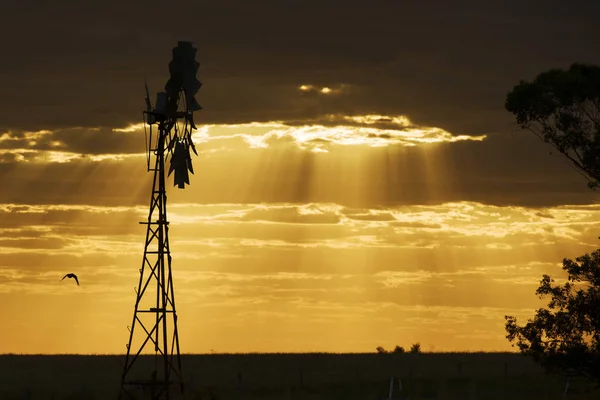 Australische windmolen op het platteland — Stockfoto