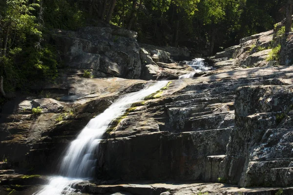 Cedar creek w Samford, Queensland, Australia. — Zdjęcie stockowe