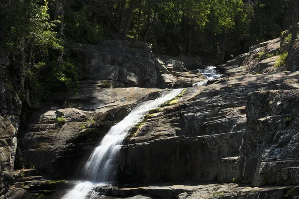 Cedar creek in Highbury, Queensland. — Stockfoto