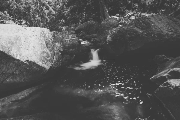 Cedar Creeku v fialovaterka, Queensland. — Stock fotografie