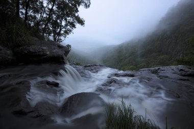 Morans Falls Tamborine dağlarda.