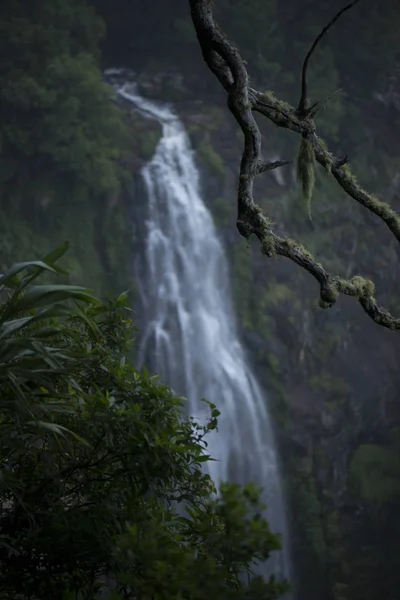 Morans Falls nelle montagne di Tamborine . — Foto Stock