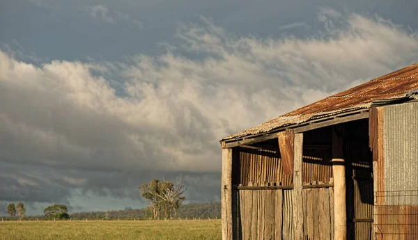 Barracão abandonado da agricultura do outback em Queensland — Fotografia de Stock