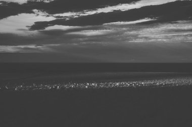 Gün boyunca çiftlikte koyun.