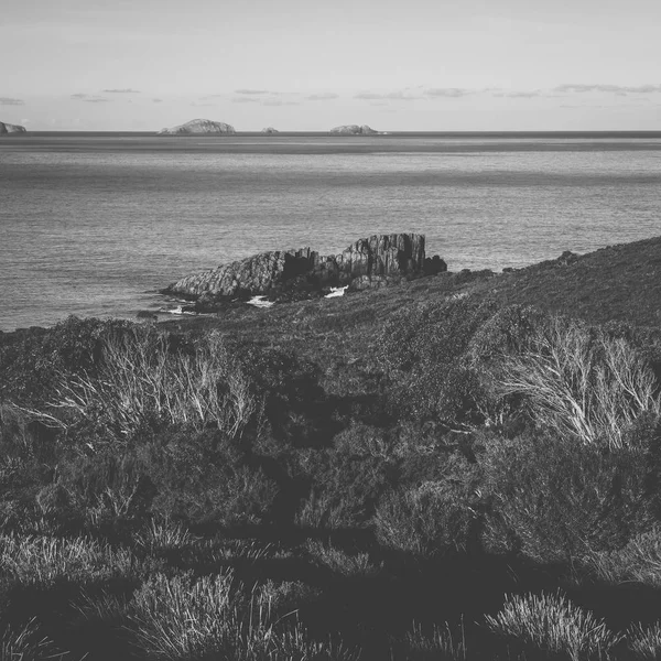 Blick auf den braunen Inselstrand während des Tages. — Stockfoto