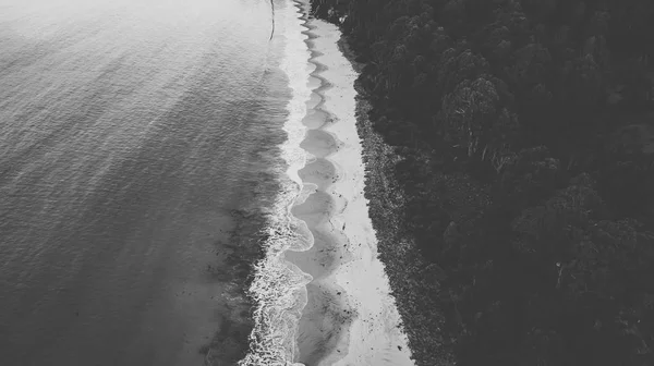 Vista da praia da Ilha Bruny durante o dia . — Fotografia de Stock